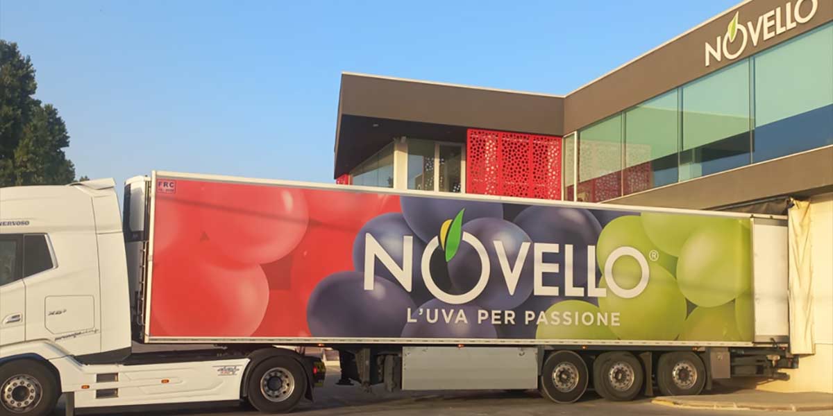 Uva da tavola, da Mazzarrone Novello fa una panoramica a largo raggio